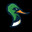 Pato