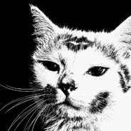 𝚂𝔱𝔞𝑦 𝔥𝔦𝔤h Steam avatar