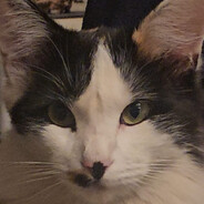 Sacro imperio romano germanico