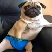 狂踹瘸子那条好腿