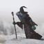 Lizard Wizard in a Blizzard