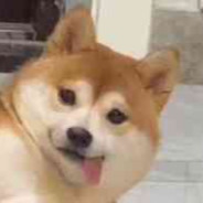 亭剑吼西风