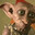 БуХоЙ_DoBBy