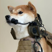 黄金十三戟之人戟合一