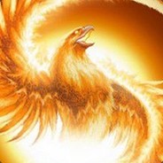 从钢铁雄心到海岛奇兵