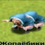 wr == 51%