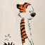 Ana Bisan tigerSten