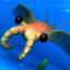 Anomalocaris