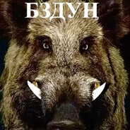 БЗДУН