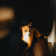 1——————————