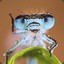 Libelle
