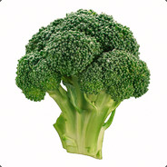 ROBERT B R O C C O L I