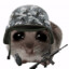 cs2 soldier