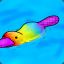 RainbowPlatypus