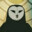 BlackOwl18