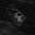 _GhosT_