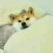 阿黄爱吃手枪腿