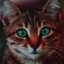 Katt