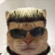 Albert Whiskers avatar