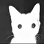 MR_CAT
