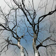 可以世界末日吗