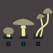 Hyper_ - steam id 76561197965789804