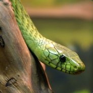 GrzebcioOo - steam id 76561197971743217