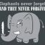 Unforgiving Elephant