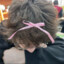 Fiflik_1