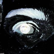 rtucou - steam id 76561197971115412