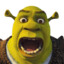 _(Shrek)!