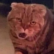 GeneralAzazel avatar