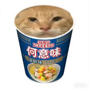 你说的对，但是（  ）