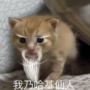 当然期待重逢(Tim)