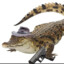 Crocko With a Glock-O