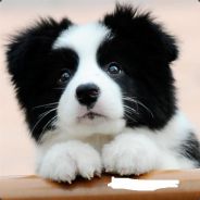 Taz'dingo