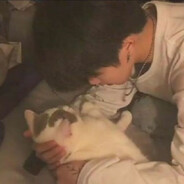 会让你继续失望