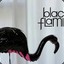 Black Flamingo