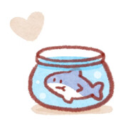 喜欢窝在鱼缸的鱼