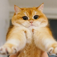 Данил Колбасенко - steam id 76561199019710746