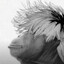 tripso's avatar