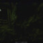 Shadow_22_