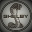 ShelbyGT064