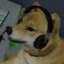 Call center dog