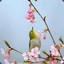 含章可贞