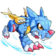 海拉鲁猫车大师