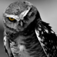 ༺༒ᗫᎯᏩᙀℜ777༒༻