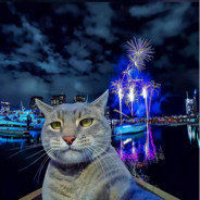 只愿卿心丨似我心