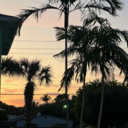 Linc - steam id 76561198237701492