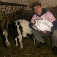 бутерброд умер